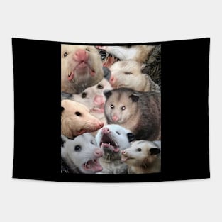 Possum collage Tapestry