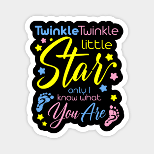 Twinkle Twinkle Little Star Only I Know W Gender Keeper Magnet