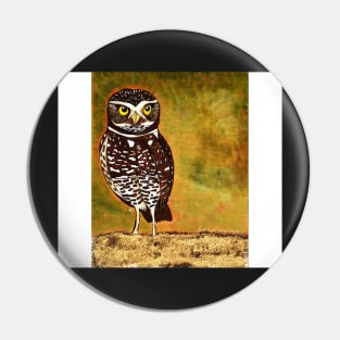 Burrowing Owl - solo Pin