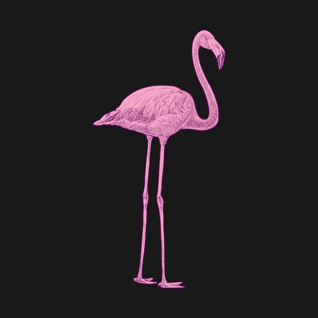 Pink flamingo by StefanAlfonso