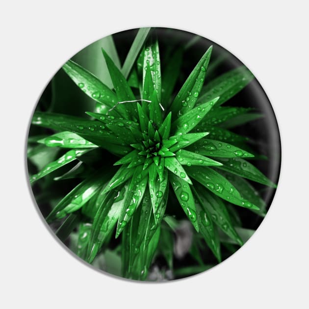 Green Leaves Pin by csturman