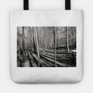 Long Shadows in the Forest Tote