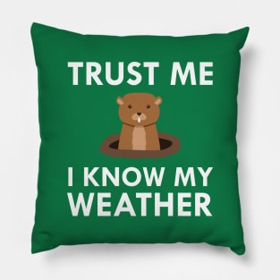 Trust Me I Know My Weather Groundhog Meteorologist Pillow