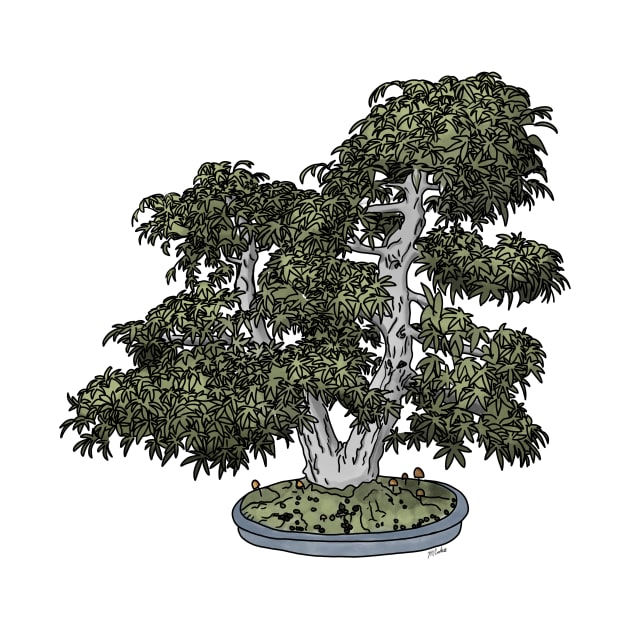 Smooth Japanese Maple Bonsai by Quick Brown Fox Canada 