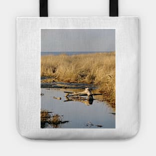 Quinault Petrified Reflections Tote