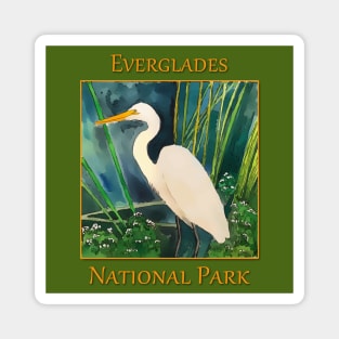 Everglades National Park, Great Egret Magnet