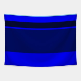 A delightful pattern of Lightblue, Blue, Dark Imperial Blue and Dark Navy stripes. Tapestry