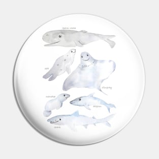 smiling sea animals Pin