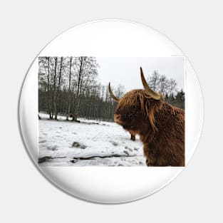 Scottish Highland Cattle Cow 2248 Pin