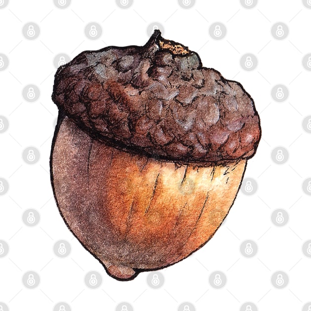 Watercolor Acorn by AquarellChill