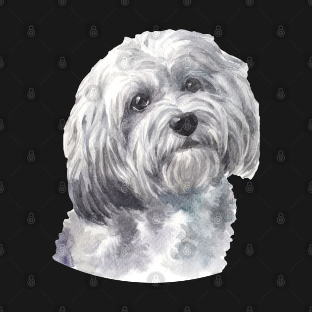 Cute White Havanese Watercolor Art by doglovershirts