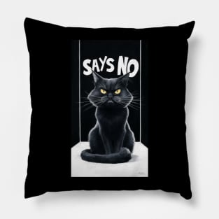 Black Cat says no Pillow