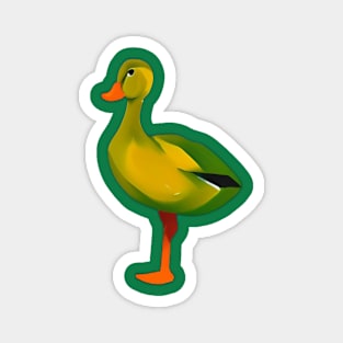 The Duck Magnet