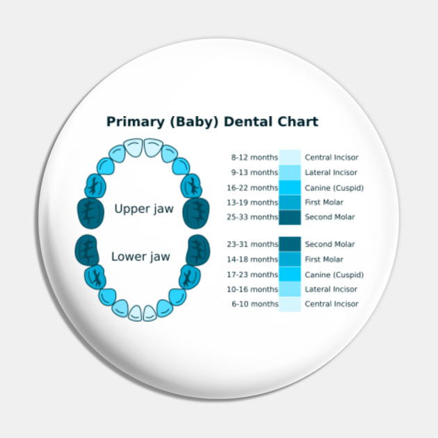 Dental Chart Images