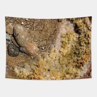 Shallow Rock Pool Tapestry