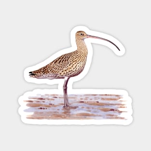 Far-eastern Curlew painting Magnet