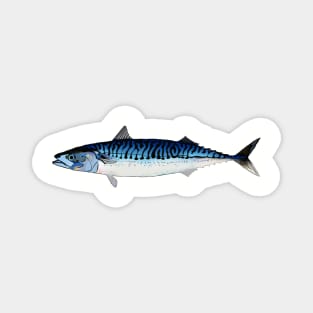 Royal Blue Mackerel Magnet