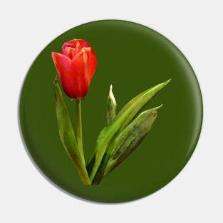 Single Red Tulip Pin