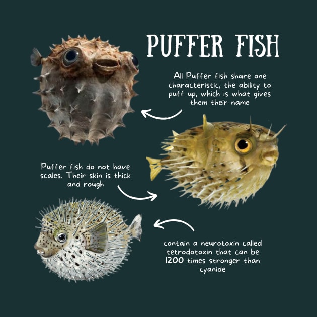 Animal Facts - Puffer Fish by Animal Facts and Trivias