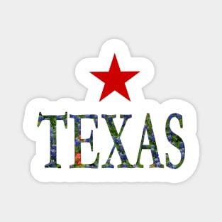 Texas Bluebonnets Word Art - LoneStar State Flowers Magnet
