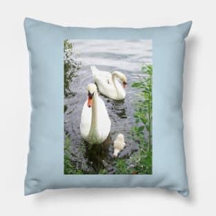 Notre Dame Swans Pillow