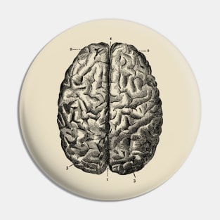 Brain! Pin