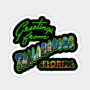 Tallahassee A Design that Captures, The Essence Of The Capital City Of Florida With a Rich History Magnet