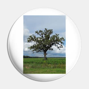 Single Tree In The Wide Open Fields Pin