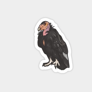 California Condor Magnet