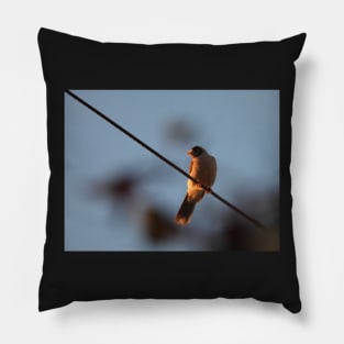 Noisy Miner bird on a wire Pillow