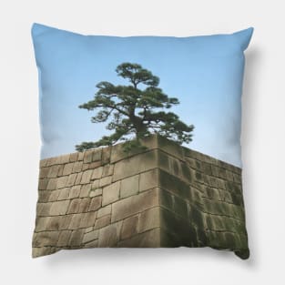 Bonsai on a Stone Wall Pillow