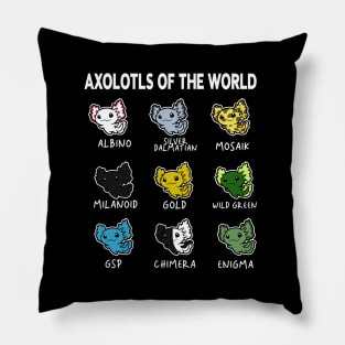 Axolotls Of The World | Types Of Axolotl Pillow