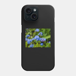 Forget-Me-Nots 1 Phone Case