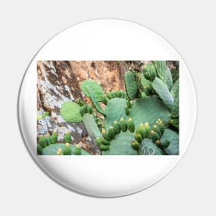 Cactus. Pin