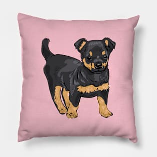 Lancashire Heeler dog puppy Pillow