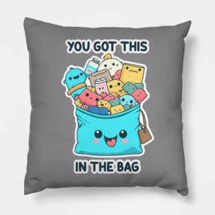 You Got This In The Bag Pillow