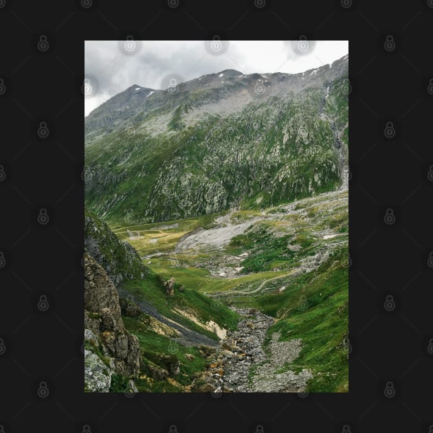 Mountains of Switzerland - Rocky Green Alpine Landscape in Ticino Switzerland by visualspectrum