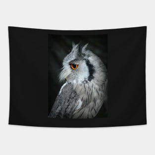 Small grey owl Tapestry