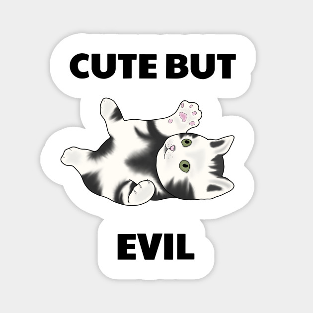 Cute But Evil Cat Magnet Teepublic