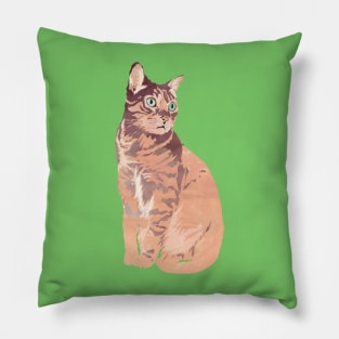 Pretty In Pale Pink Kitty Cat Pillow