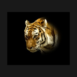 Tiger T-Shirt