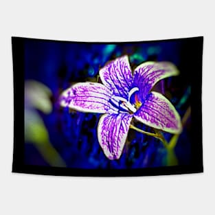 Bellflower Tapestry