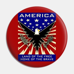 America: Land of the Free, Home of the Brave Pin