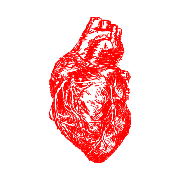 Heart Sketch by eddien