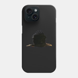 White tailed Eagle Phone Case