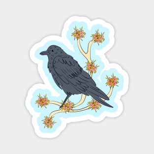 American Crow Magnet