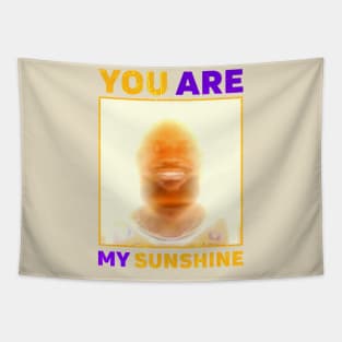 James Meme You Are My Sunshine Tapestry