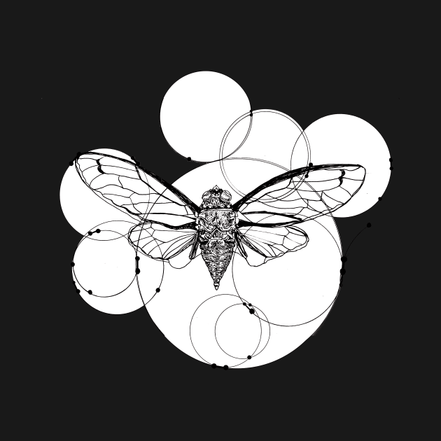 cicada by anakir