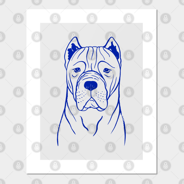 Cane Corso Grey And Blue Cane Corso Posters And Art Prints Teepublic