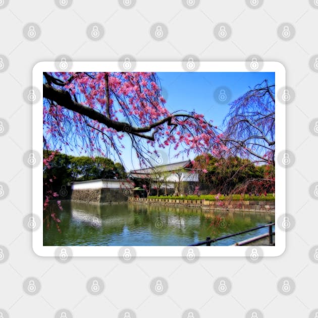 Entrance to Imperial garden, Tokyo, Japan Magnet by vadim19